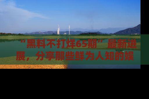 “黑料不打烊65期”最新进展,分享那些鲜为人知的娱乐八卦