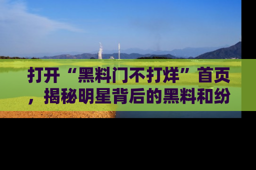 打开“黑料门不打烊”首页，揭秘明星背后的黑料和纷争真相！