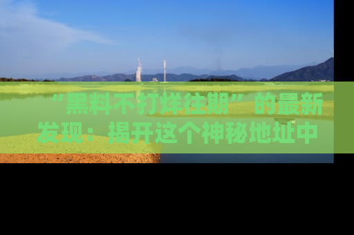 “黑料不打烊往期”的最新发现:揭开这个神秘地址中的爆笑黑料面纱
