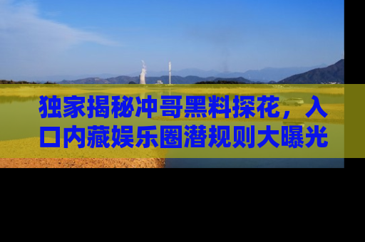 独家揭秘冲哥黑料探花，入口内藏娱乐圈潜规则大曝光