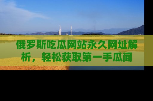 俄罗斯吃瓜网站永久网址解析，轻松获取第一手瓜闻