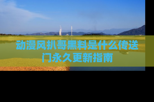 动漫风扒哥黑料是什么传送门永久更新指南