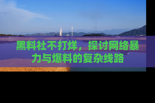 黑料社不打烊，探讨网络暴力与爆料的复杂线路