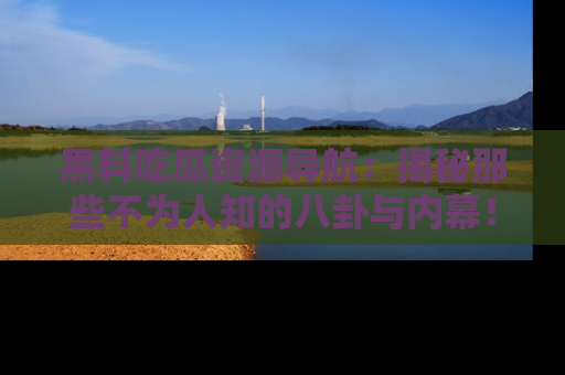 黑料吃瓜资源导航：揭秘那些不为人知的八卦与内幕！