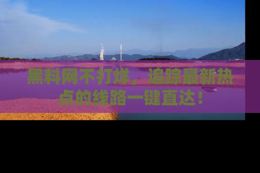 黑料网不打烊，追踪最新热点的线路一键直达！