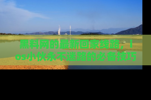 黑料网的最新回家线路，ios小伙永不迷路的必备技巧！