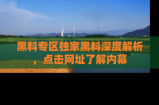黑料专区独家黑料深度解析，点击网址了解内幕