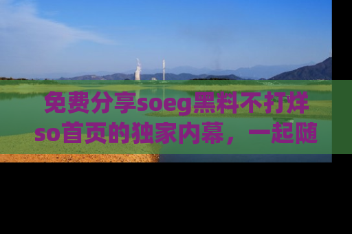 免费分享soeg黑料不打烊so首页的独家内幕,一起随时吃瓜吧!