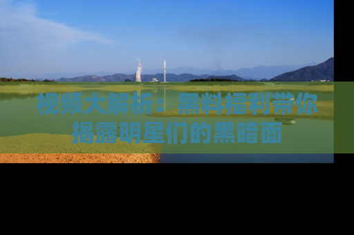 视频大解析:黑料福利带你揭露明星们的黑暗面