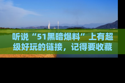 听说“51黑暗爆料”上有超级好玩的链接,记得要收藏哦!