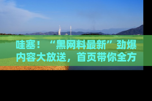 哇塞!“黑网料最新”劲爆内容大放送,首页带你全方位了解哦,小可爱们