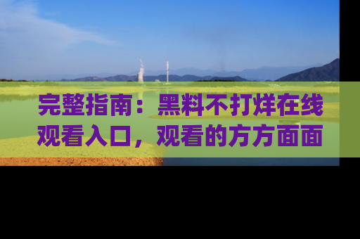 完整指南：黑料不打烊在线观看入口，观看的方方面面与app选择