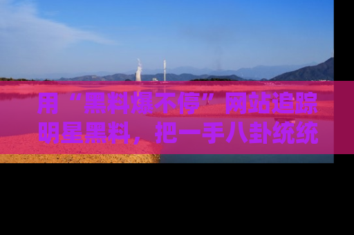 用“黑料爆不停”网站追踪明星黑料，把一手八卦统统收进你的后宫中！
