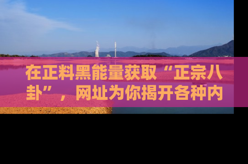 在正料黑能量获取“正宗八卦”,网址为你揭开各种内幕故事!